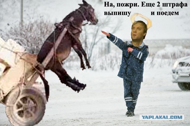 Фотожаба: полицейский в снегу