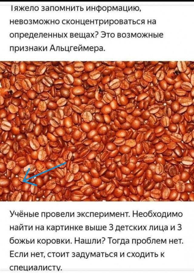 Бредзона 10.02.21