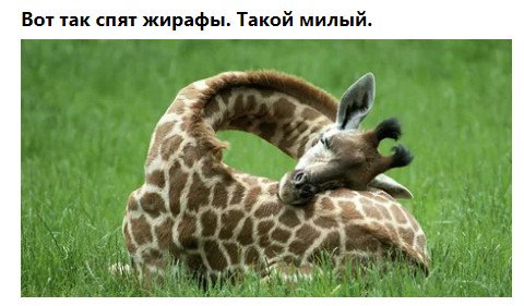 Прикольные и просто красивые картинки 12.02.2021