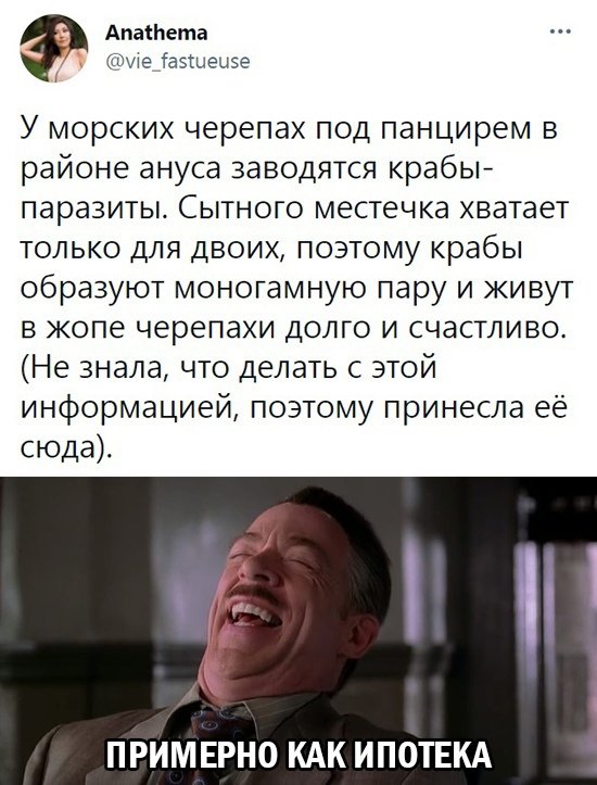 Картинки и мемы для настроения 13.04.2021