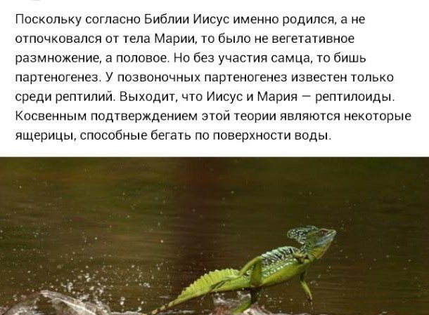 Аморальная деградация