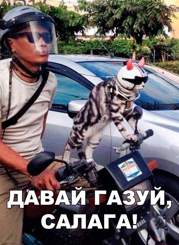 Так себе картинки 25.08.21