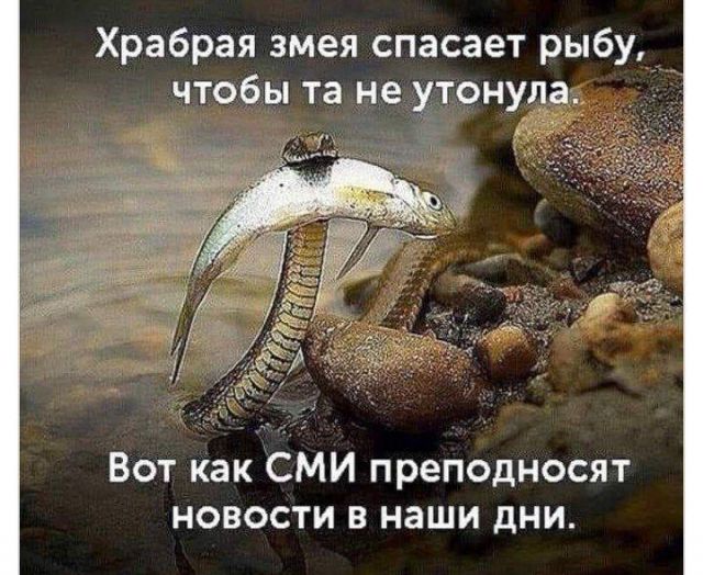 Так себе картинки 15.10.21