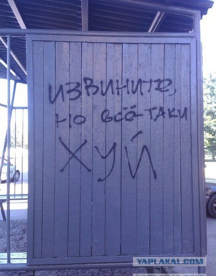 Всяческие картинки 22.11.2021