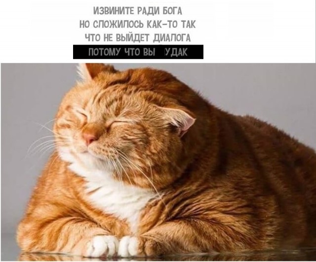 Не квакай!