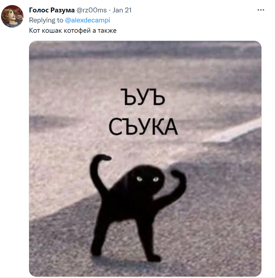 Картинка мем черный кот