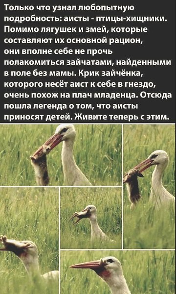 Селяви