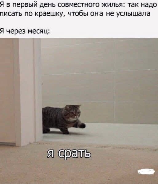 Весёлый полтишок 24.05.22