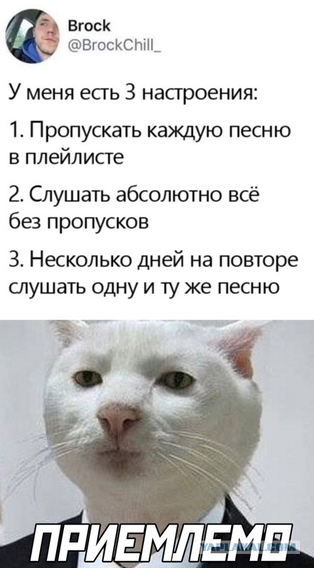 Картинки и мемы для настроения  - 31