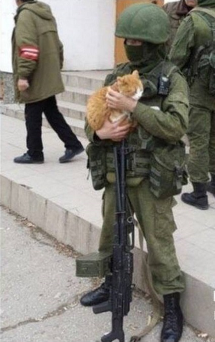 Пандемия съехавших крыш. Разновидности болезни. Россия и мир. Часть 36