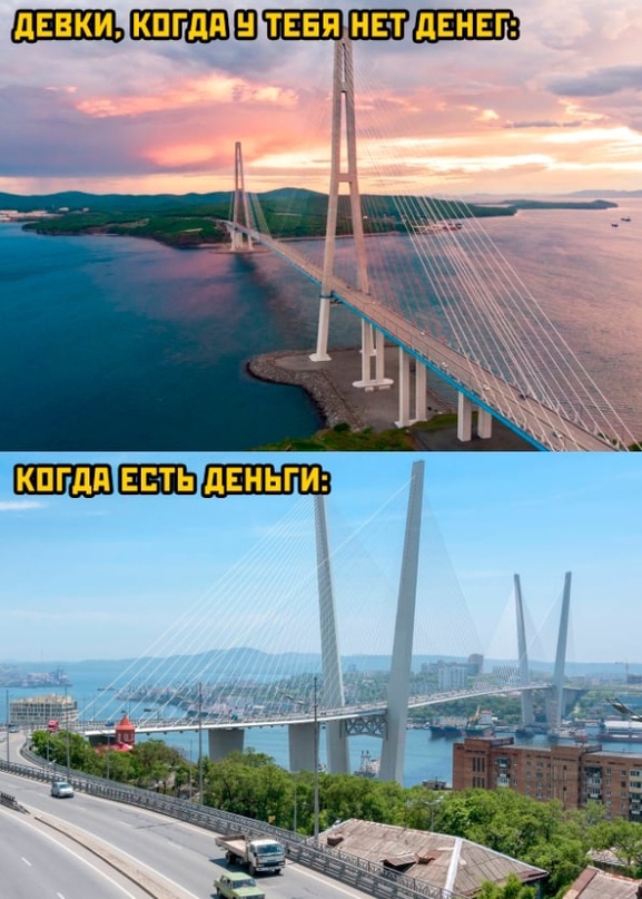 Весёлый полтишок 08.09.22