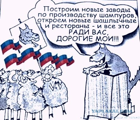 Совет Федерации ратифицировал договоры о включении ДНР, ЛНР, Херсонской и Запорожской областей в состав РФ
