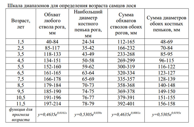 Осенний лось
