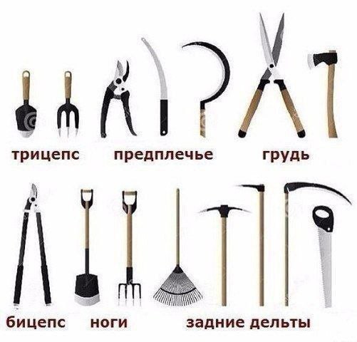 Народная меДИЧна 2012