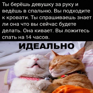 Картинки и мемы для настроения - 131