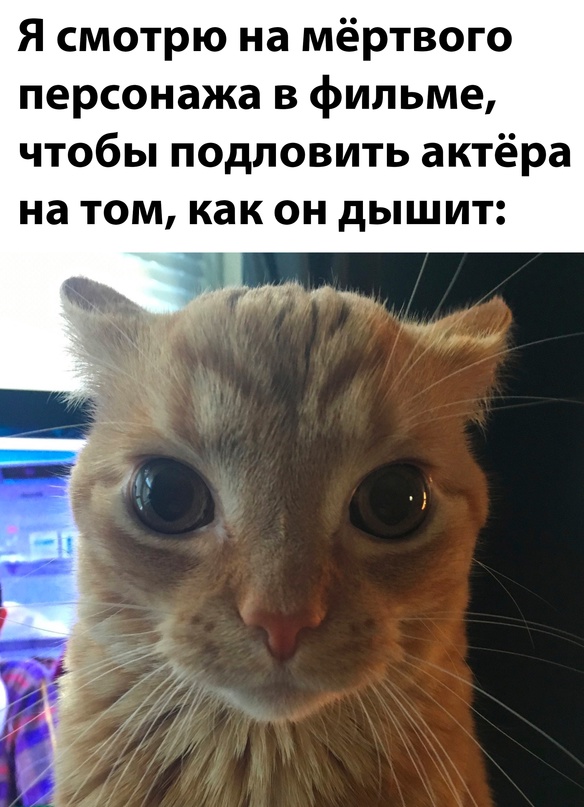Весёлый полтишок 28.02.23