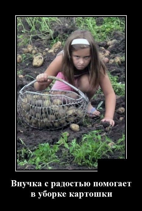 Дача тогда и сейчас.