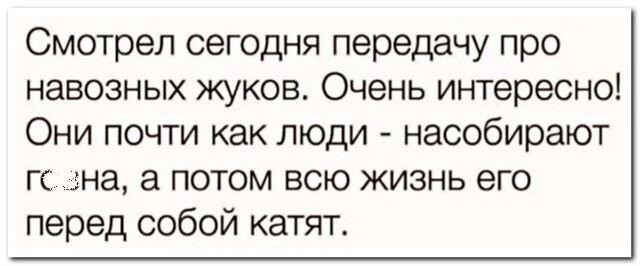 Скриншоты и комментарии из социальных сетей 06.05.23