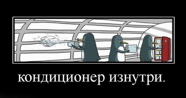 69 разных картинок для настроения (2)