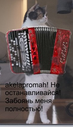 Кошачья пантомима