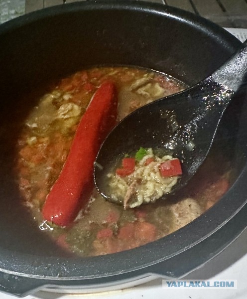 Кто не любит харчо? С орехами и сливой от Т. П. Сулаквелидзе