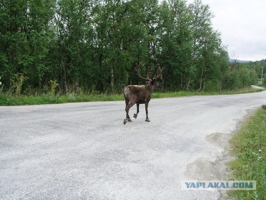 Стокгольм, Швеция, фото + буквы