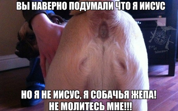 Слава Богу, я атеист 6