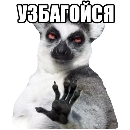 Вопрос пешеходам, которым водителели что то там должны