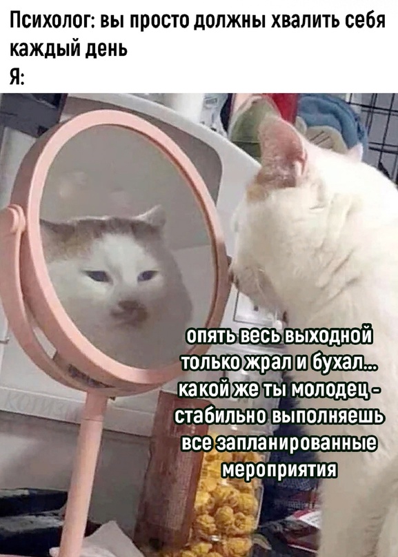 Весёлый полтишок 18.12.2023