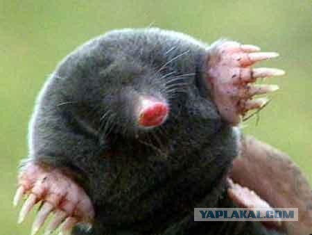 Всё о Туркменистане