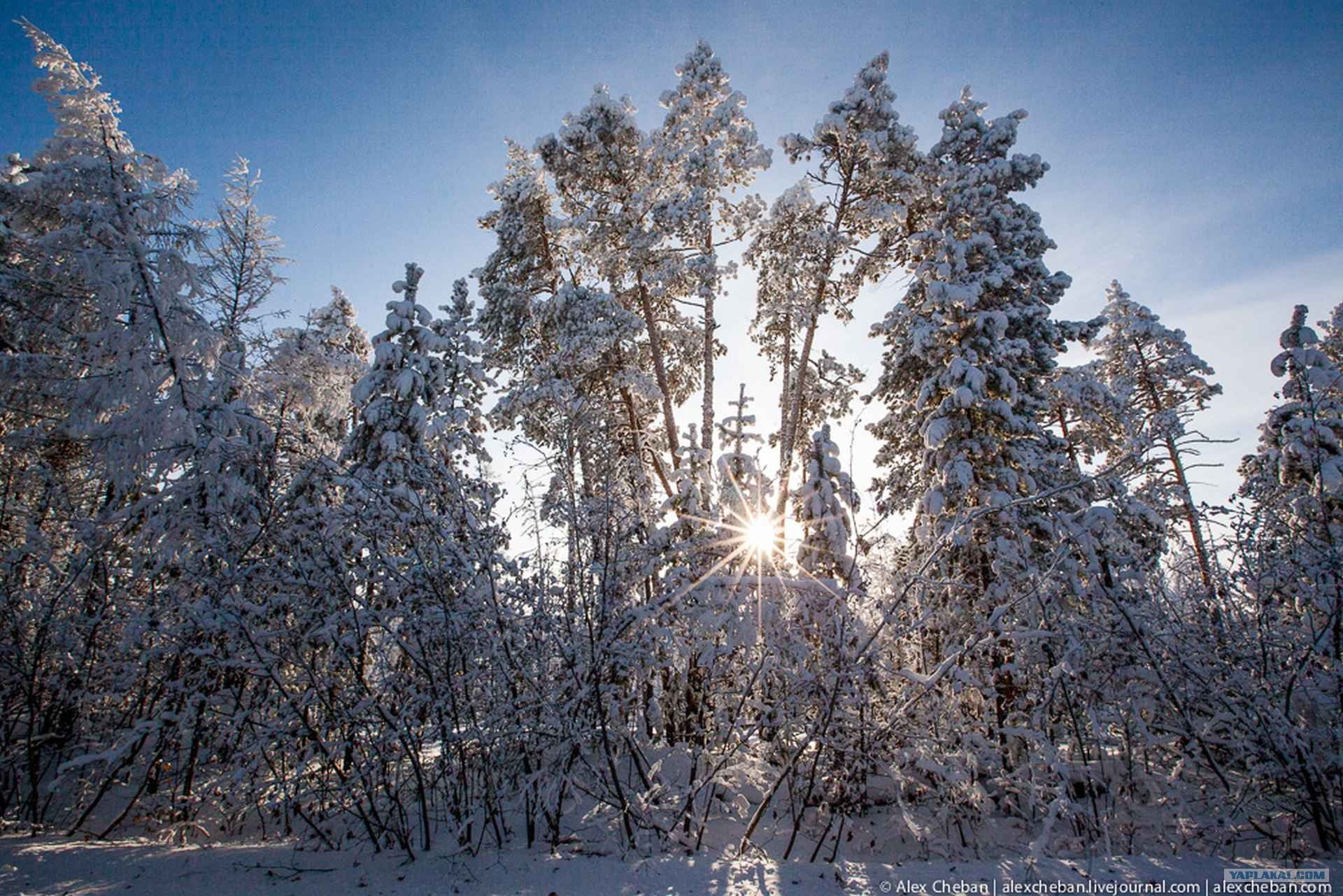 Зима в Якутии фото