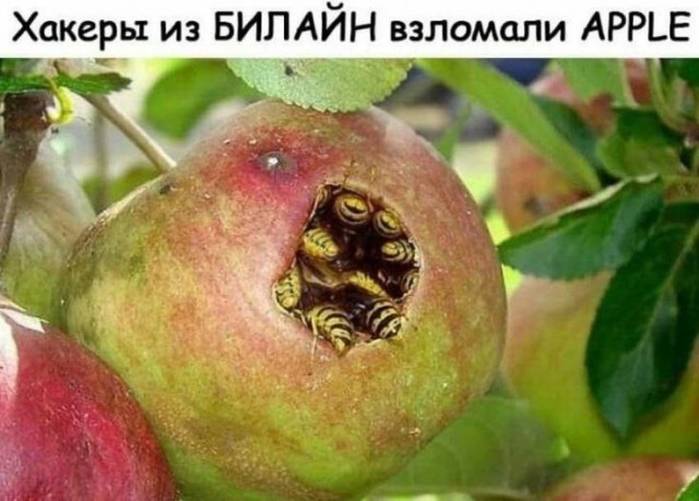 Завалялось тут случайно немного забавных картинок