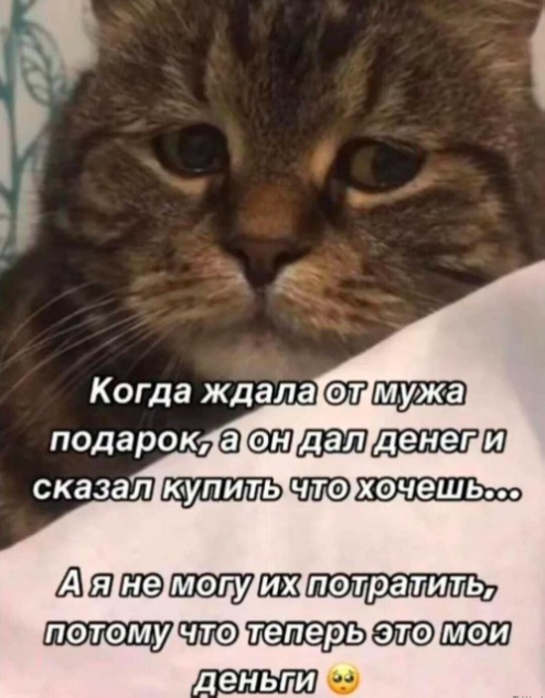 Так себе картинки 24.07.24
