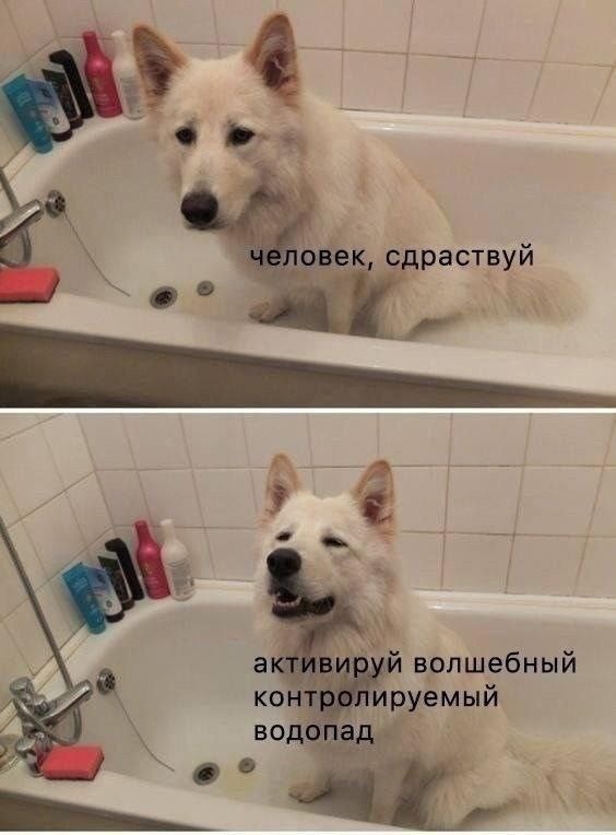 Завалялось тут случайно немного забавных картинок