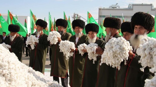 Легковая машина взорвалась в Севастополе, погиб военнослужащий