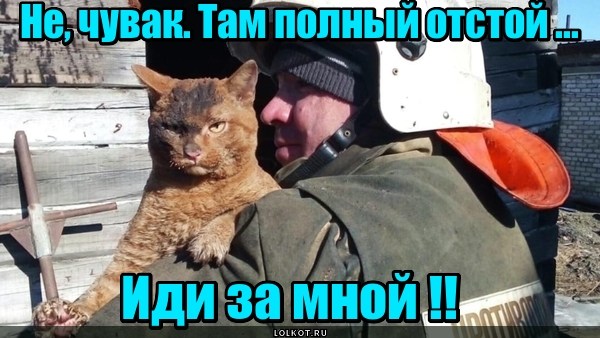Можно я с тобой