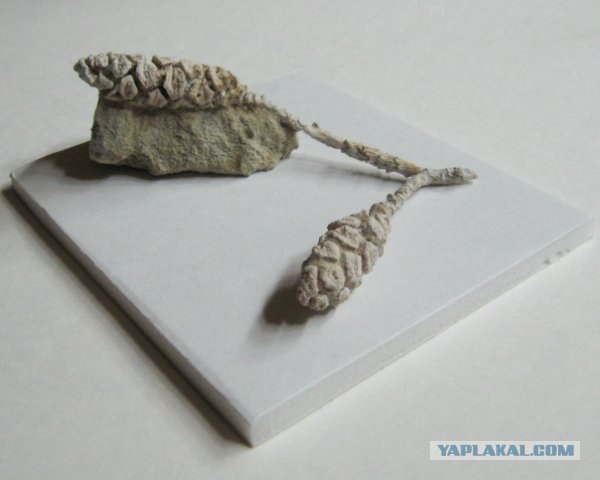 История мира у нас под ногами