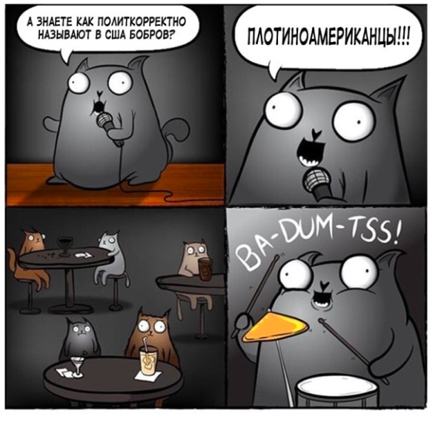Так себе картинки 08.12.24