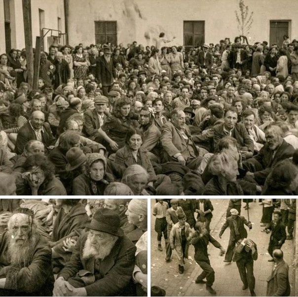 "Я не потерял ноги, а отдал за Родину!"