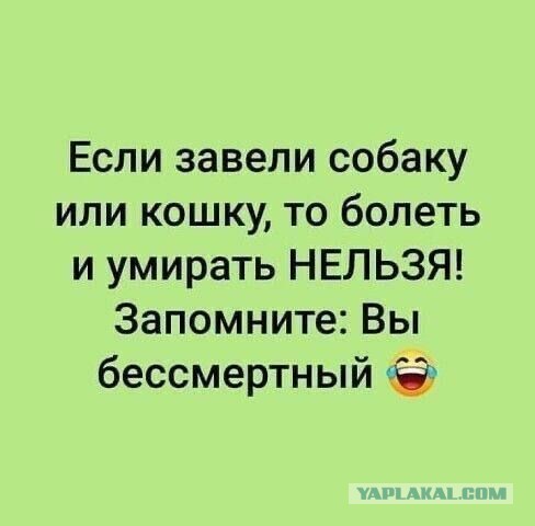 Мужчина выбросил своего питомца на мусорку