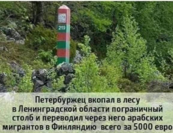 Четверых неудавшихся иностранных беженцев задержали сотрудники погрануправления ФСБ на границе с Финляндией