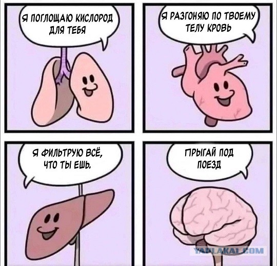 Просто картинки