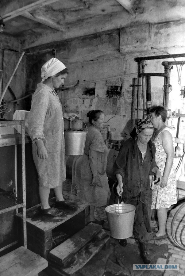 Ностальгия по работящим женщинам