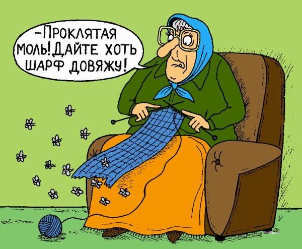 За разведение шалфея и мимозы россиян могут отправить в тюрьму и оштрафовать на 300 тысяч рублей, — Союз садоводов