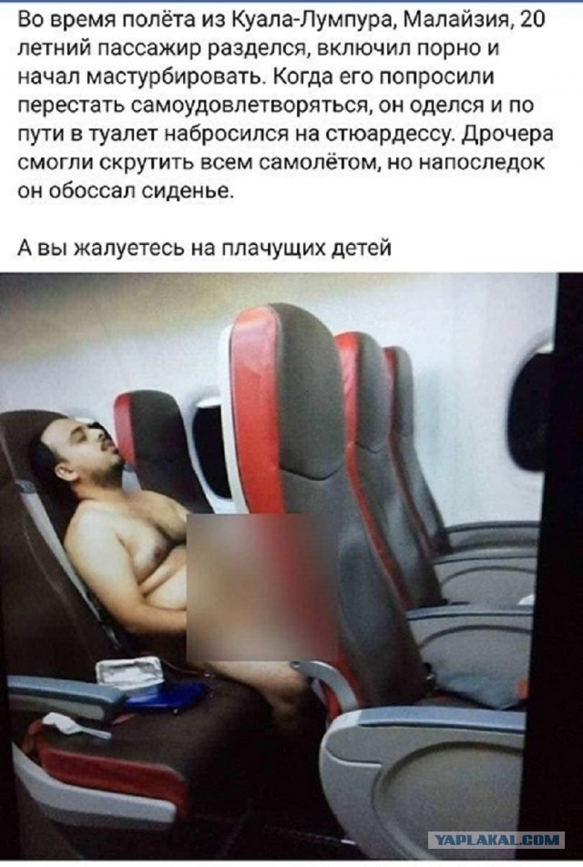 Так себе картинки 25.06.25