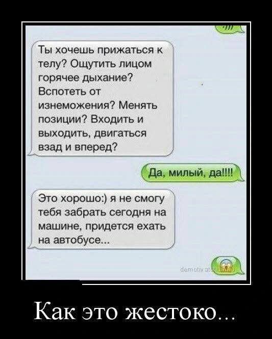 Так себе картинки 04.07.25