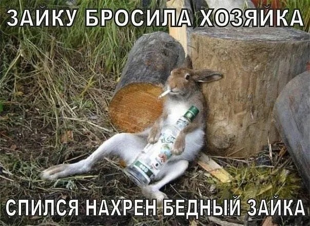 Грусть-тоска одолевает? Ебанина поспевает!