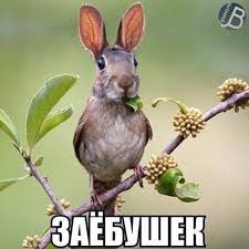Почему воробья назвали  воробьём?