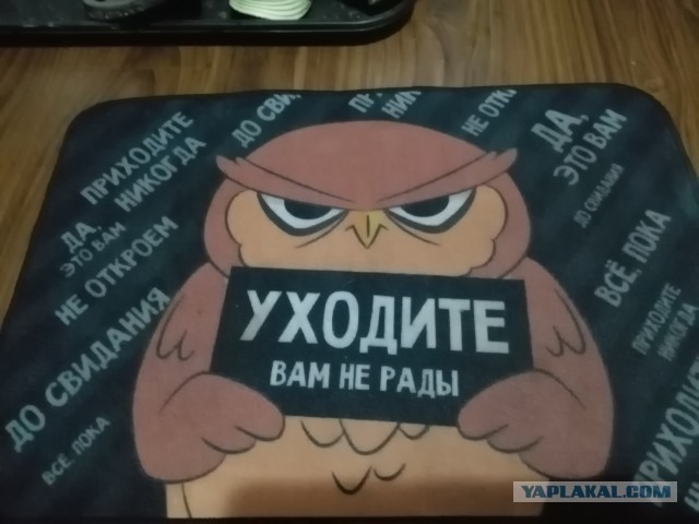 В столичной школе уволили русского физрука по причине многодетности.