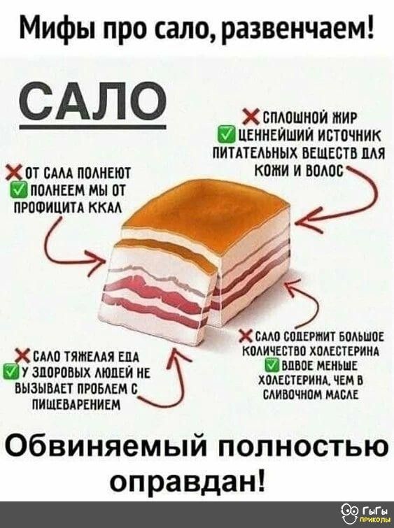 Прикольные и просто красивые картинки 14.11.2025
